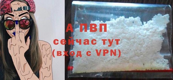 ГАЛЛЮЦИНОГЕННЫЕ ГРИБЫ Вязьма